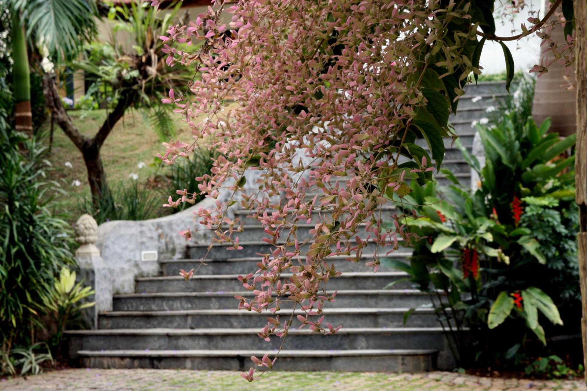 Pousada Villa Magnolia São João del Rei エクステリア 写真